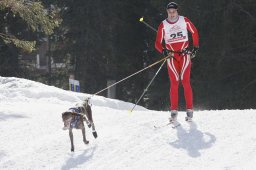 San Bernardino 2011